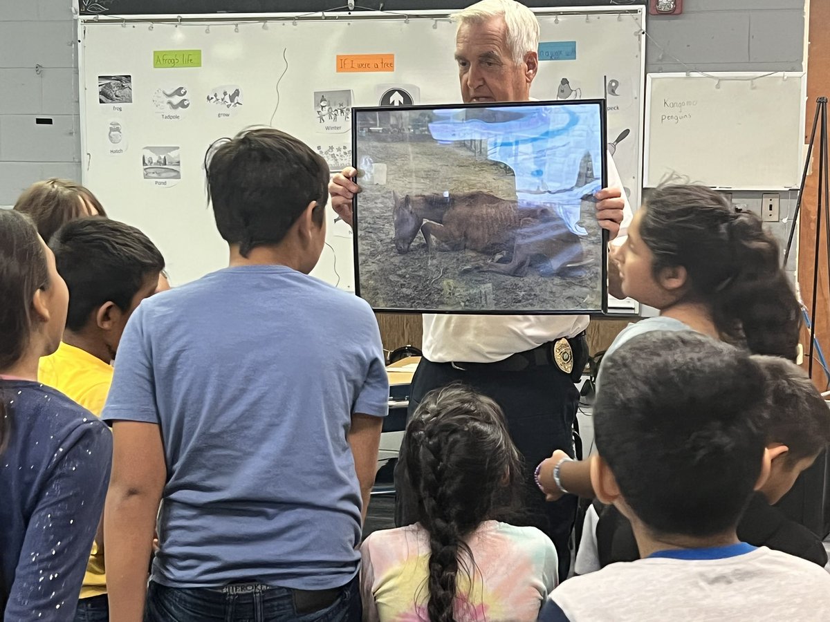 JJaramilloESL's tweet photo. The Rowan County Animal Enforcement Manager Clai Martin visited our ESL class to talk about his job at the shelter, and the importance of taking care our pets. Now we are ready to write letters to help some animals find a new home!!
@RSSchoolsNC @knollwoodelem @rowancountync https://t.co/vbLY1hpsFS