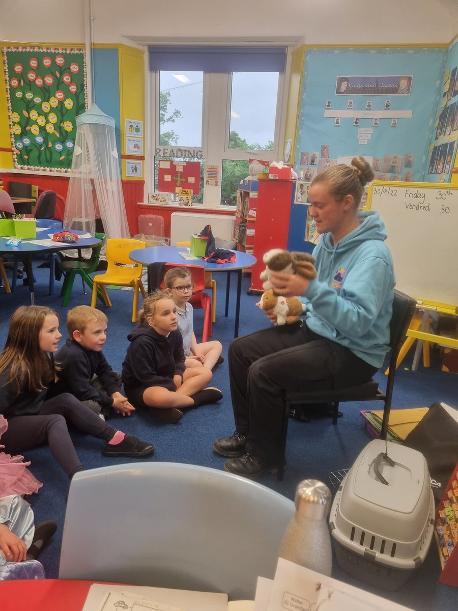 Collace Primary School tweet media