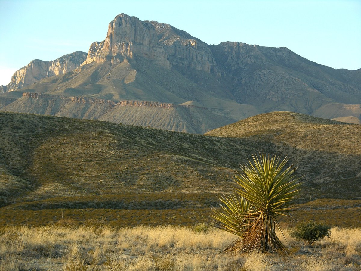 TxHistComm's tweet photo. Deep in West Texas lies an ancient barrier reef, a remnant of the Permian Sea of 250 million years ago.

@GuadalupeMtnsNP was formed by fossilization, uplifting of the earth’s crust, &amp; subsequent erosion. The area was established as a national park on September 30, 1972. https://t.co/d9PxjLJw7E