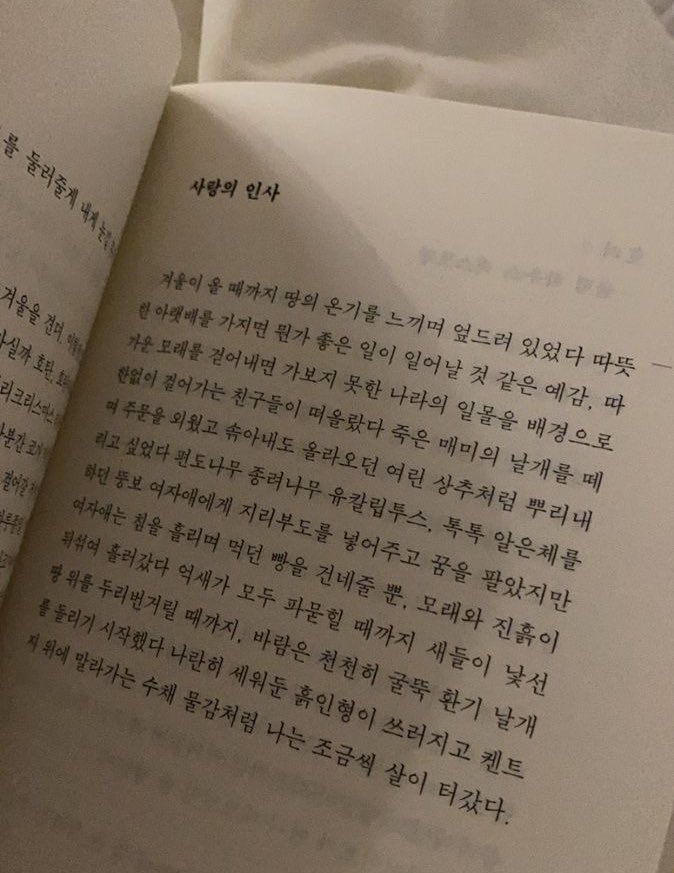ol31Oo's tweet photo. 10월도 평탄한 하루들만 오기를➿ https://t.co/bQNPbKROYv