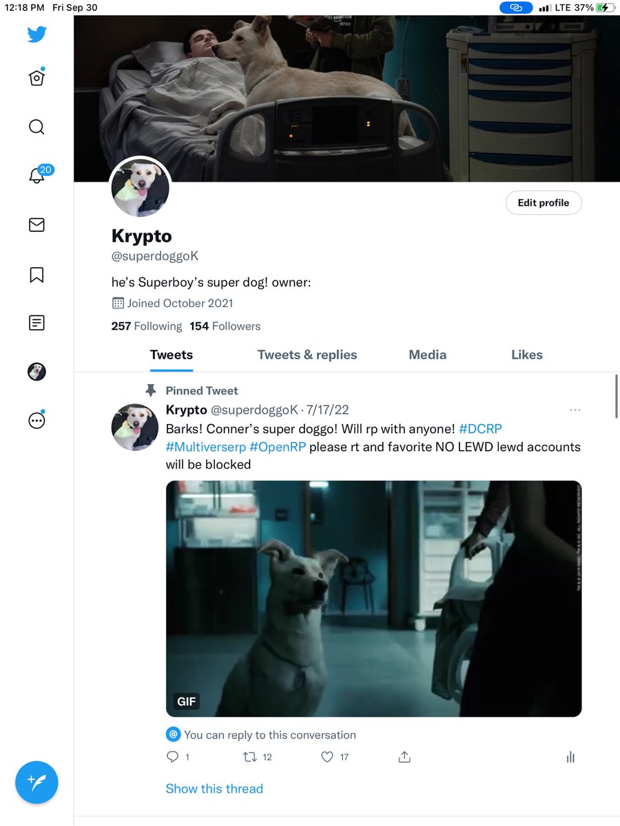 pumpkinnoseZero's tweet photo. //my other two doggos...so there’s three in all ❤️🤣🙄 https://t.co/PvSzjjuo0L