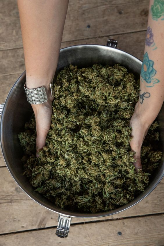 HIGHEST (@high6st) on Twitter photo 