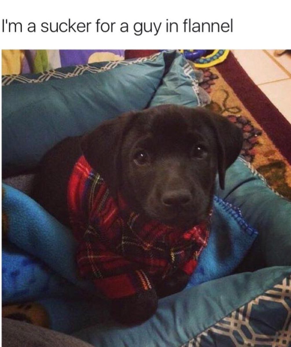 WholesomeMeme's tweet photo. https://t.co/v7SVWSKgXD