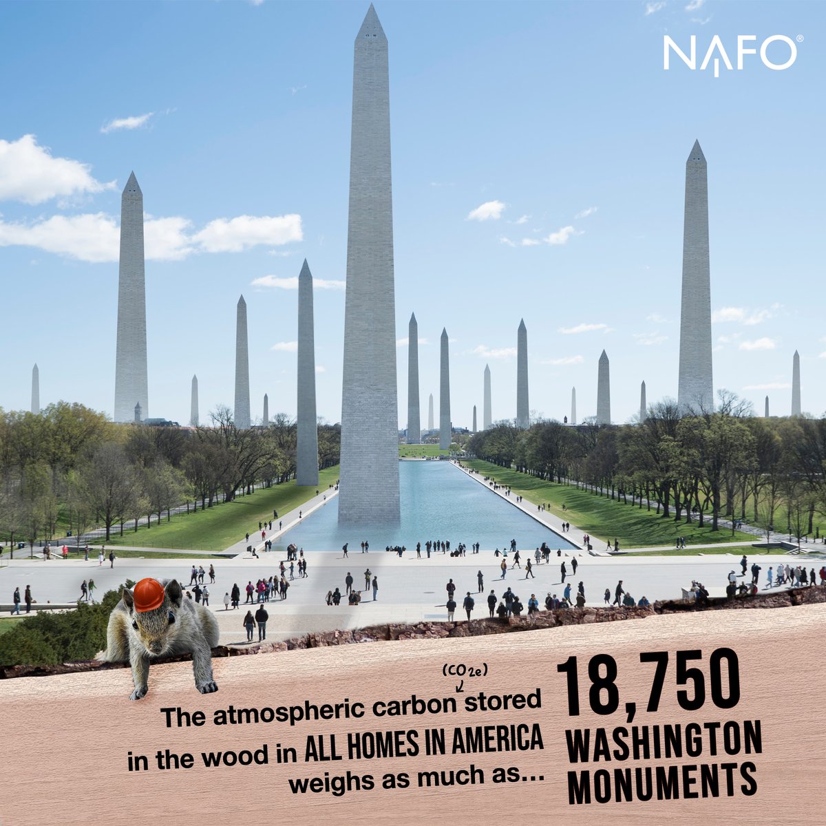 NAFO_Forests's tweet image. Check out this fun #dataviz made with data from the @EPA and @forestservice: ForestCarbonDataViz.org 

Private working forests and wood products are natural climate solutions! #ModernForestry #ClimateSmartForestry #Forests4Climate