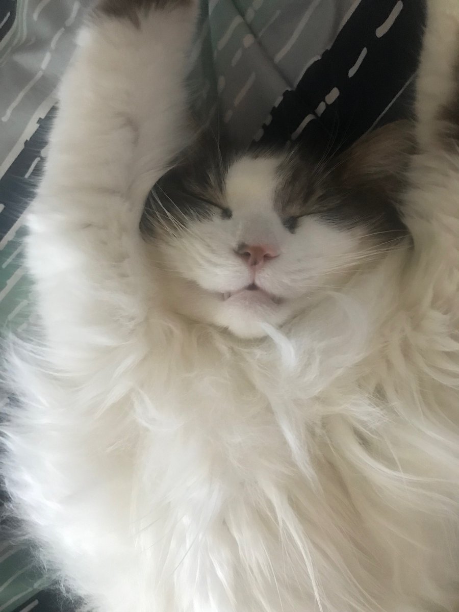 LitttleBoPeep's tweet photo. Going into the weekend like https://t.co/qetnY08W7l
