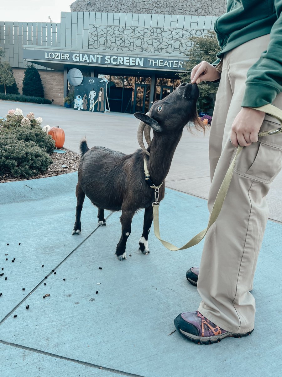 Teacher's night at <a href="/OmahaZoo/">Omaha's Zoo</a> ! 🐠🦒

We had a great night connecting with teachers all across Nebraska about our Walker School of Education + exploring the zoo attractions!🍎✏️