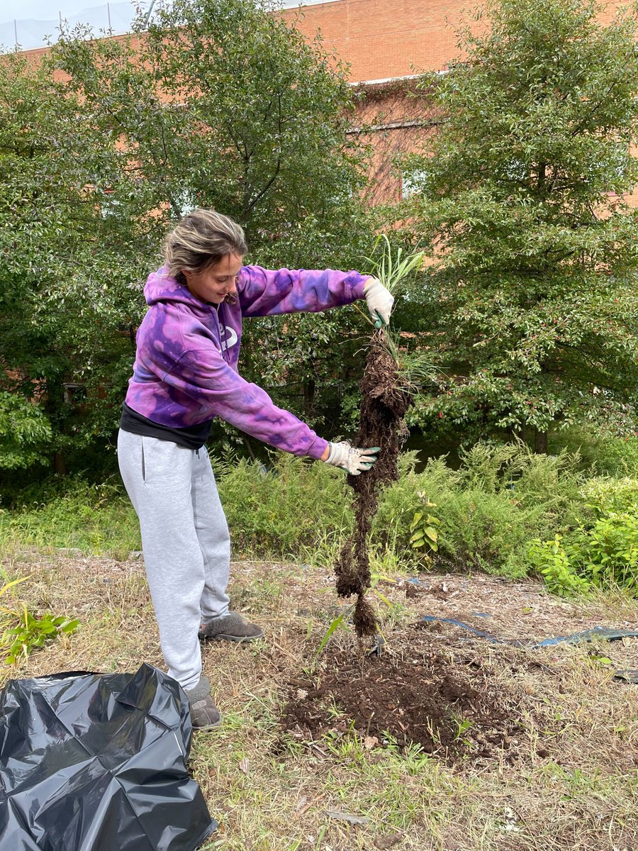 SustainableCSI's tweet photo. Thank you to the students from @csinews Macaulay Honors College and the Swim Team for their help with cleaning the 6S Garden. πͺ΄#csisustainability #csigarden #csicleanup https://t.co/ocGuAiO6LC