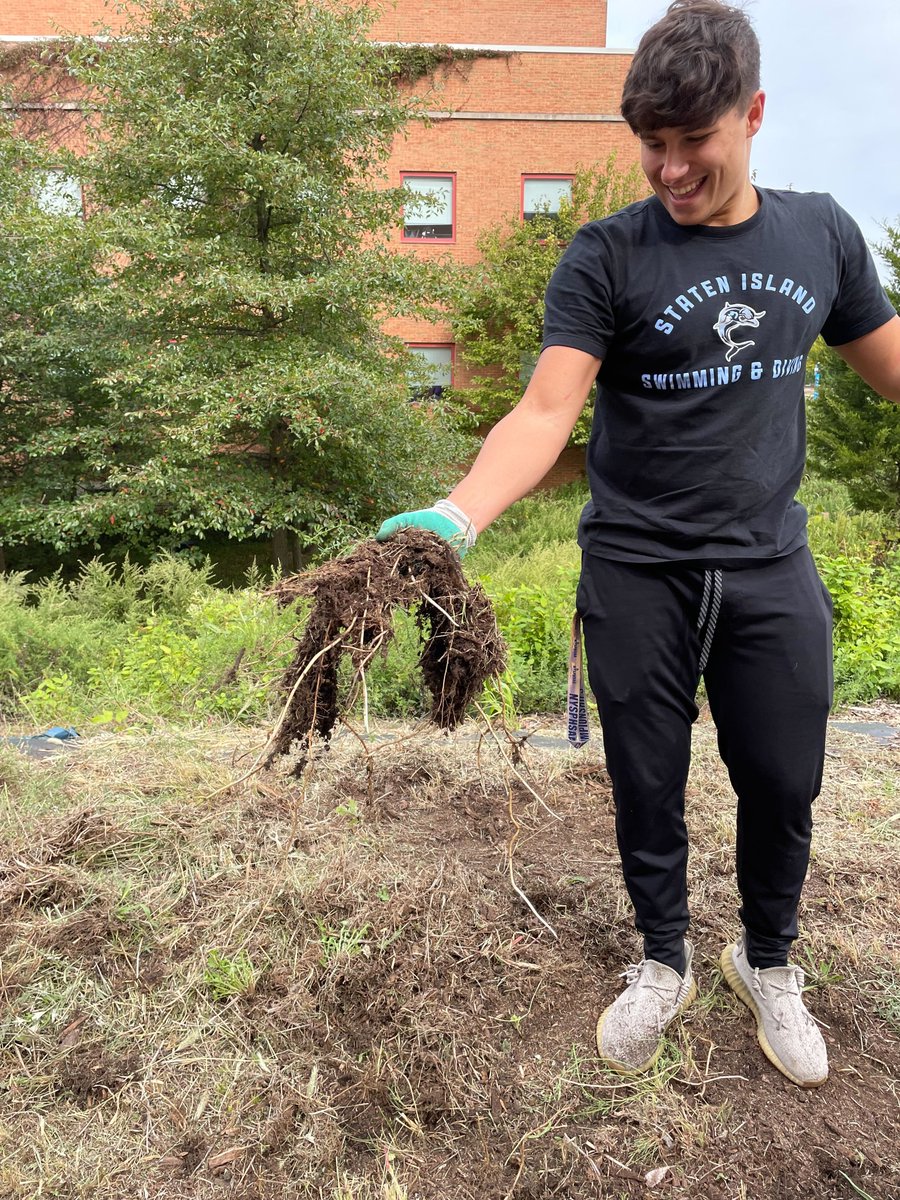 SustainableCSI's tweet photo. Thank you to the students from @csinews Macaulay Honors College and the Swim Team for their help with cleaning the 6S Garden. πͺ΄#csisustainability #csigarden #csicleanup https://t.co/ocGuAiO6LC