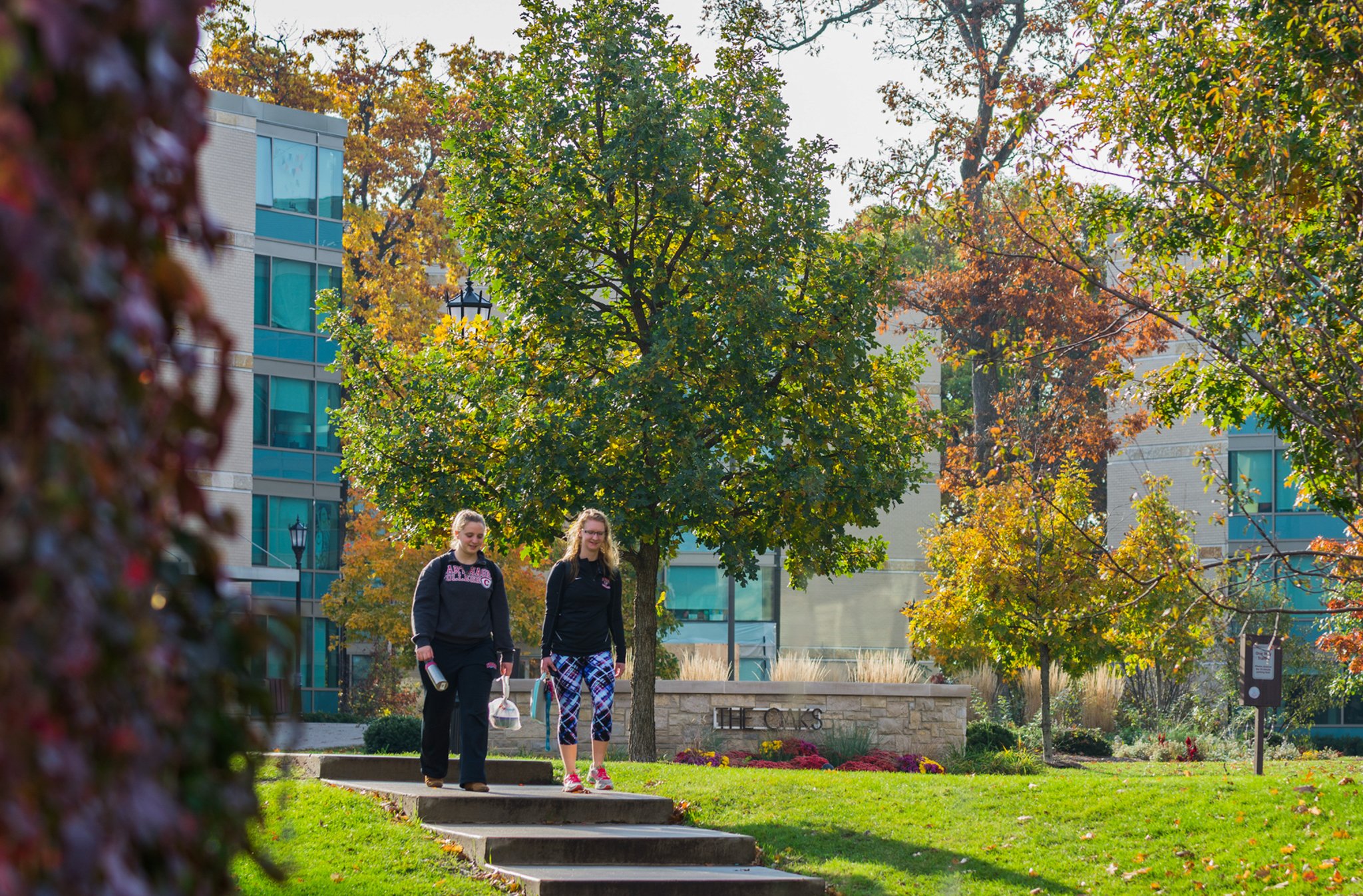 Carthage College ( carthagecollege) / Twitter