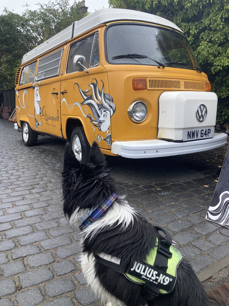 We like the beach and @SteampunkCoffee alot