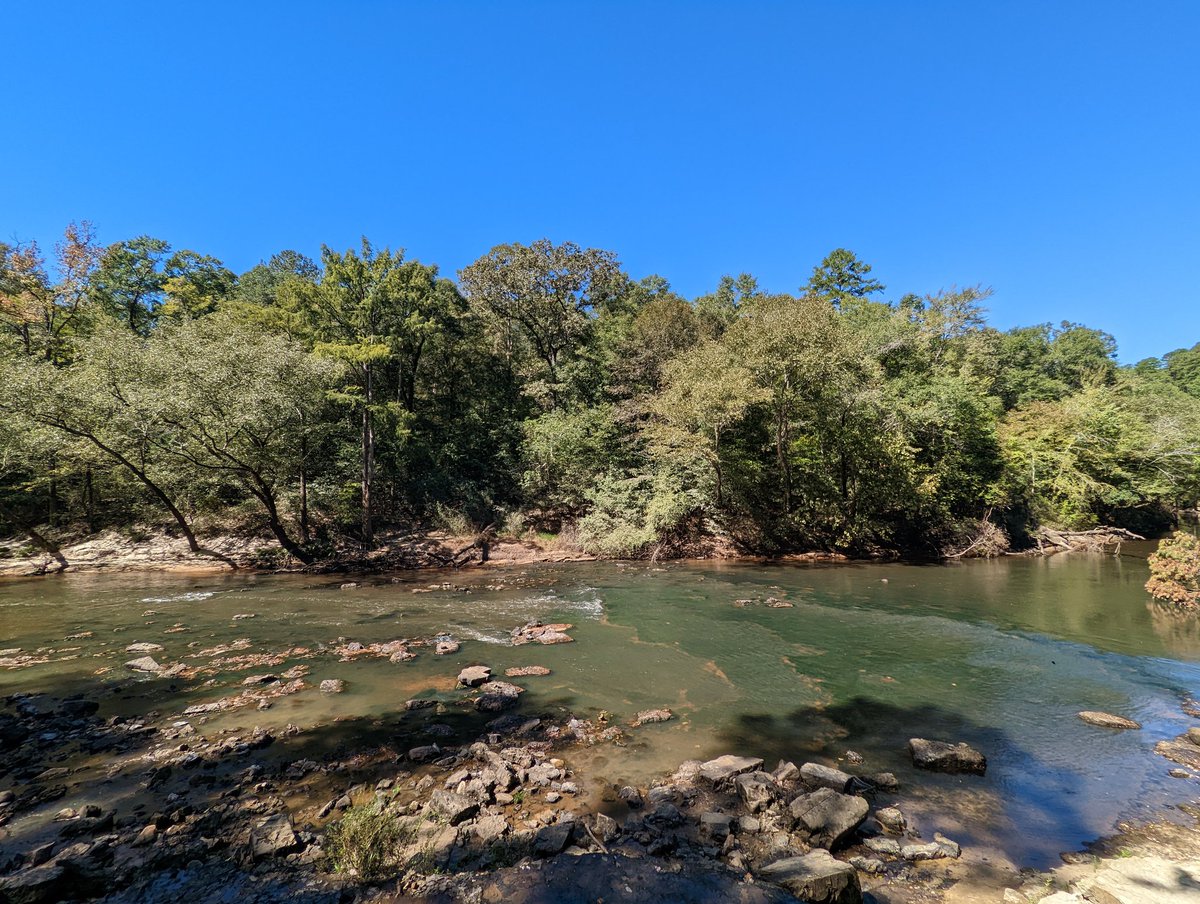 KaseaPrice's tweet photo. Our week of #groundtruthing w/@bodine_cs comes to an end with the #ChunkyRiver! A variety of hard bottom substrates mixed w/ sand and cobble. Excited to continue this work in the future! #gulfsturgeon #sturgeoncrew https://t.co/G0R6VJC4Hc