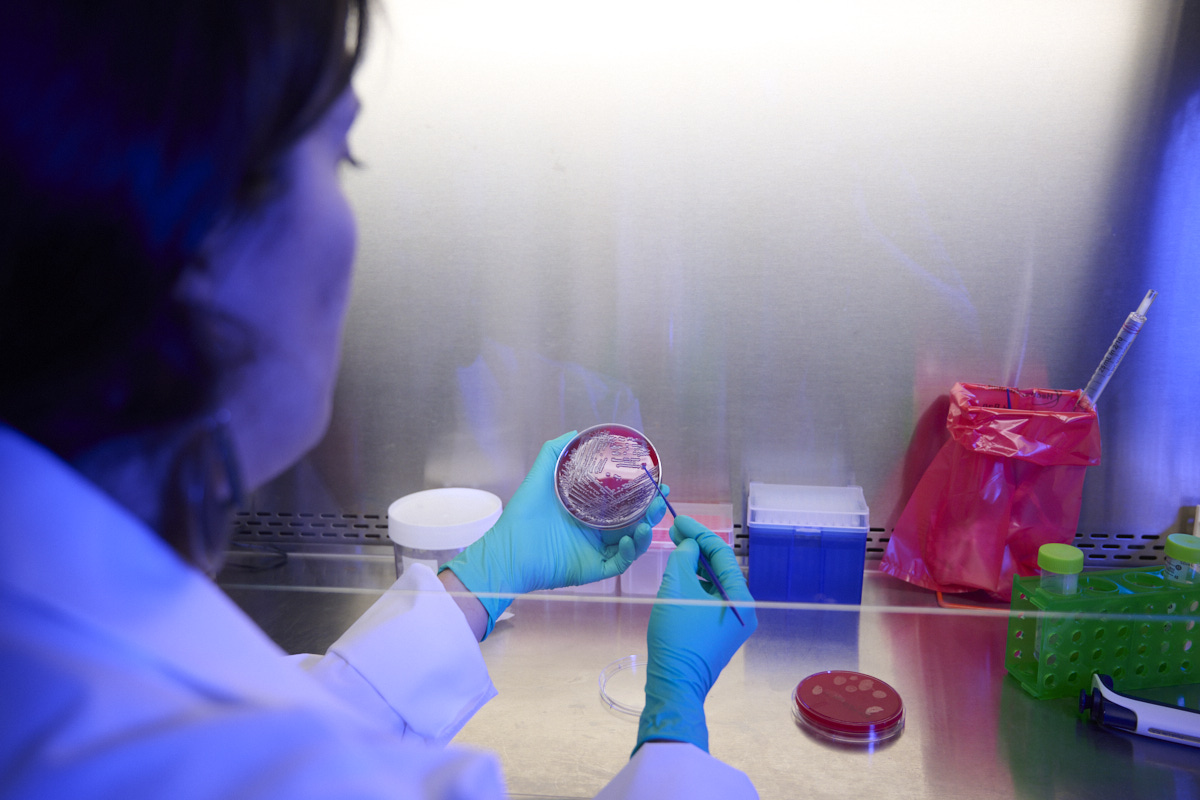 Biotia (@biotianyc) on Twitter photo Sepsis kills an estimated 11 million people each year -- better diagnostic tools are needed. New post up with our Chief Medical Officer <a href="/NagySzakal/">Dorottya Nagy-Szakal</a> as part of sepsis awareness month #sepsis #AMR
biotia.io/new-blog Sepsis kills an estimated 11 million people each year -- better diagnostic tools are needed. New post up with our Chief Medical Officer <a href="/NagySzakal/">Dorottya Nagy-Szakal</a> as part of sepsis awareness month #sepsis #AMR
biotia.io/new-blog