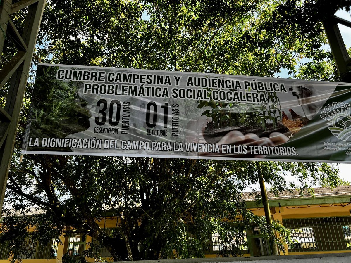CancimanceL's tweet photo. El campo colombiano ha estado abandonando por décadas. Cultivar la tierra en medio del conflicto armado, termino siendo un riesgo para los campesinos que no entraban a lo ilícito. La decisión no fue cuestión de gusto. Por eso entender ese trasfondo es necesario para avanzar. 🧵 https://t.co/PZlYpAVyl8