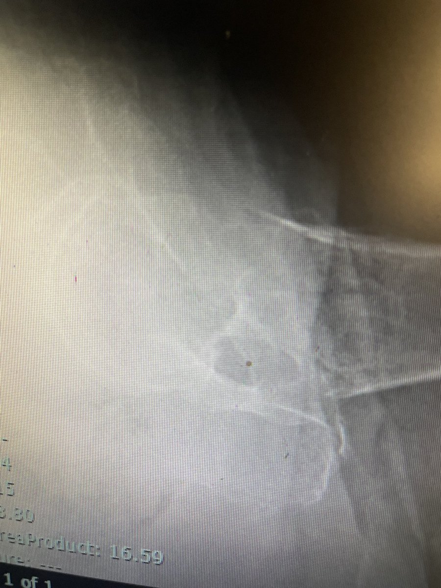 Very General Orthopaedist tweet media