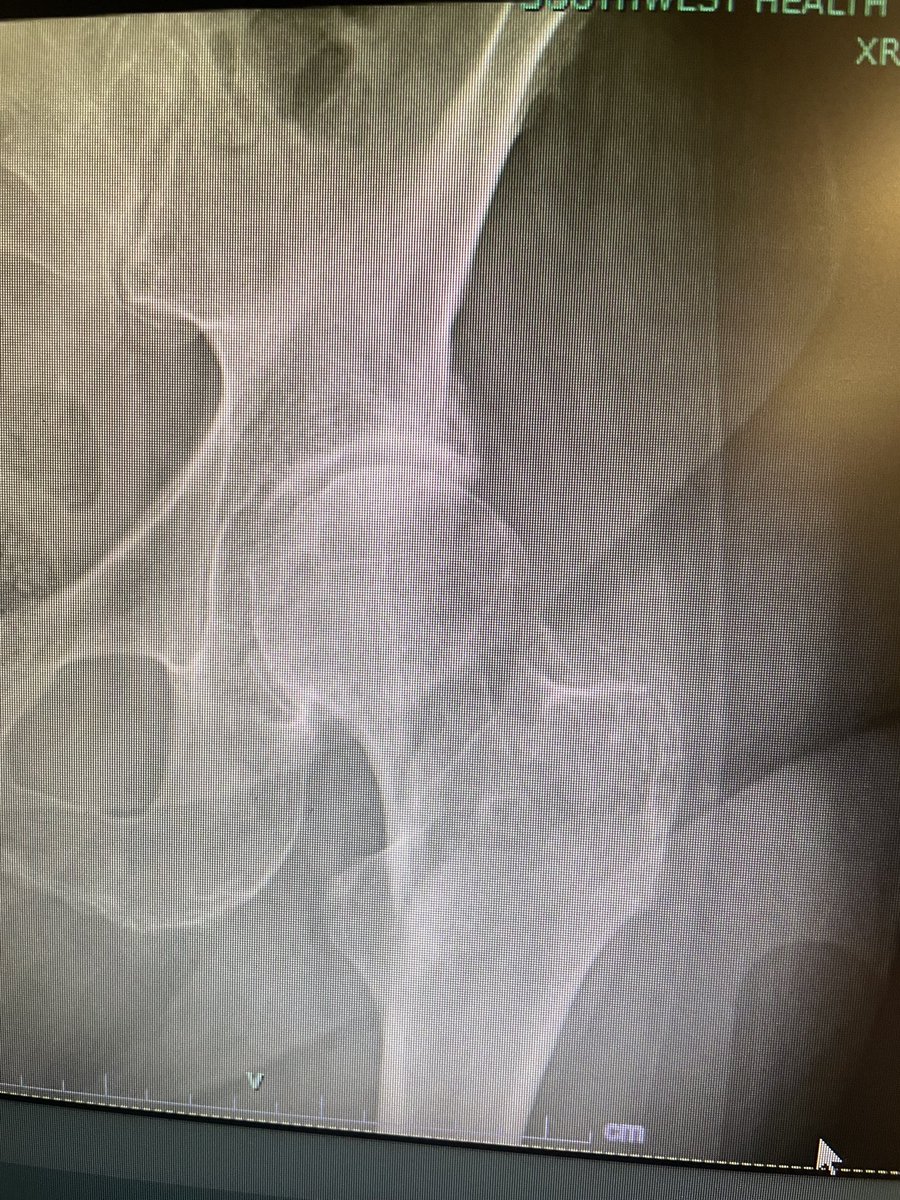 Very General Orthopaedist tweet media