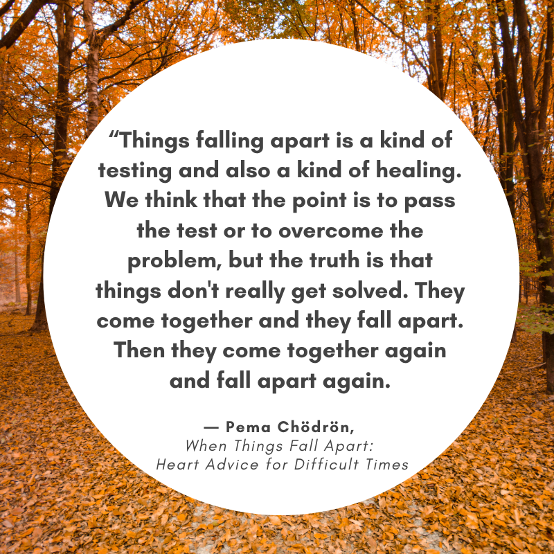 LAShambhala's tweet photo. Join us for meditation every Wednesday evening via Zoom #pemaquote https://t.co/qZmivjwW2N #wednesdaymeditation https://t.co/rwB25T8Md6