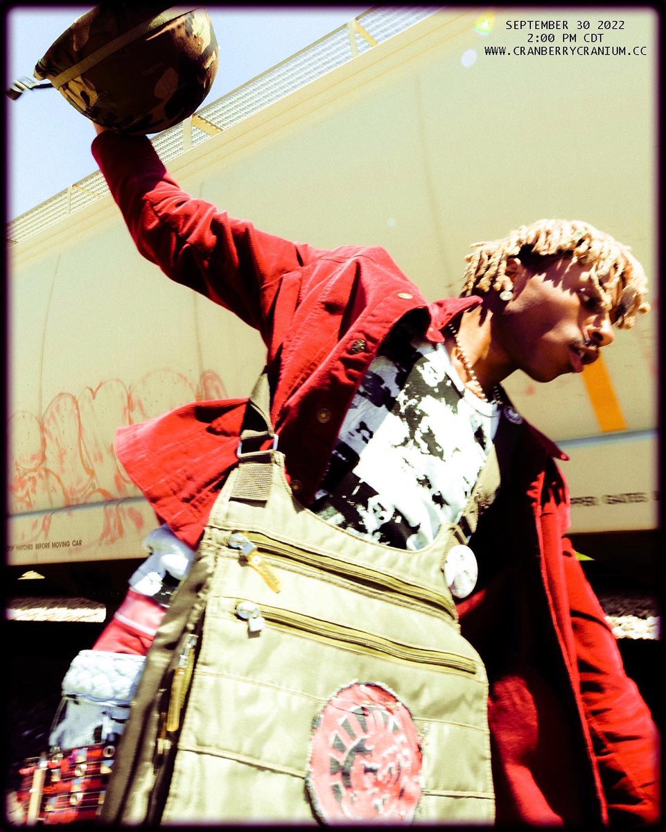 CRANBERRY CRANIUM! (@CranberryCraneo) / Posts / X