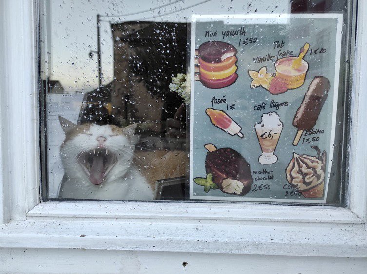 Bodegacats_'s tweet image. 📷 @Koenterstrike