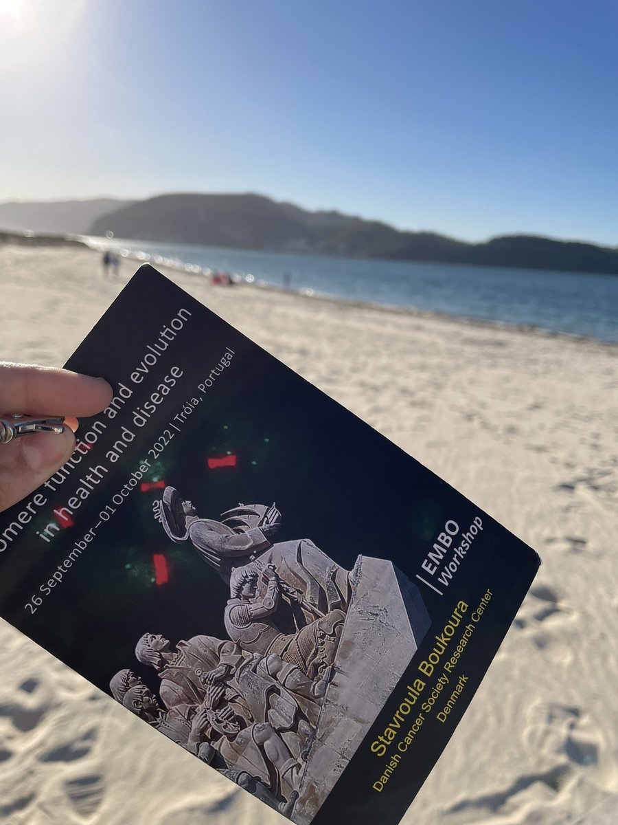Stavi Boukoura (@stavrouboukoura) on Twitter photo Last day of <a href="/TeloEMBO22/">EMBO Telomere Meeting 2022</a>, enjoying the lovely weather of Portugal ☀️I had so much fun discussing my PhD project with everyone and bring a little bit of rDNA in this telomeric meeting 😄😄 Last day of <a href="/TeloEMBO22/">EMBO Telomere Meeting 2022</a>, enjoying the lovely weather of Portugal ☀️I had so much fun discussing my PhD project with everyone and bring a little bit of rDNA in this telomeric meeting 😄😄