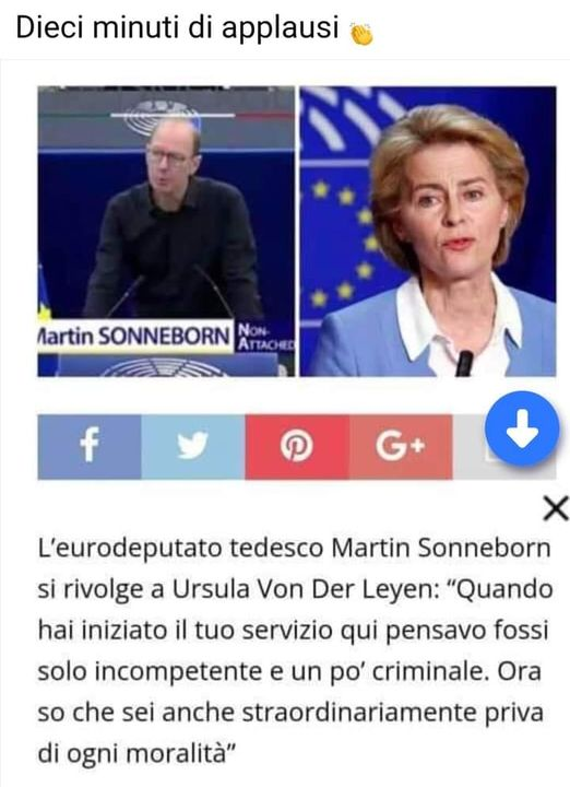 LA GERMANIA E' STANCA DI QUESTA TEDESCA.