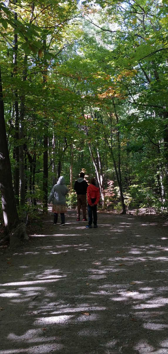 First time this year walking into the forest <a href="/TSMSWolfpack/">TSMS Athletics</a> <a href="/ONTSpecialNeeds/">ONTSpecialNeeds</a>