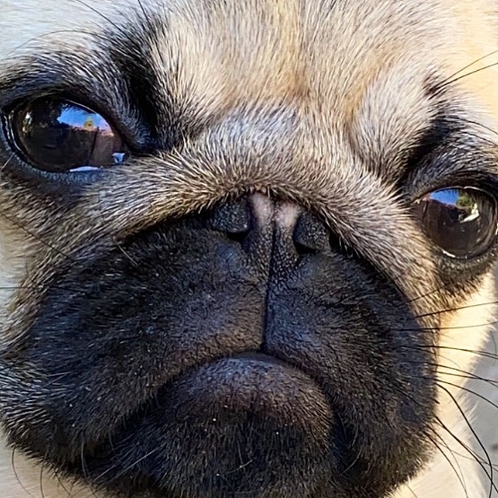 Dun wit you, Schmonday. 😐🤚🏻