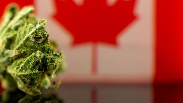 PBG_Biopharma's tweet photo. The review of #Cannabis Act launched by the federal government on September 22nd, 2022, is addressing social, environmental, and economic challenges in Canada’s cannabis industry.

#cannabisact #legislativereview #future #health

https://t.co/AYlSgyAes6 https://t.co/moXWn2AwqX