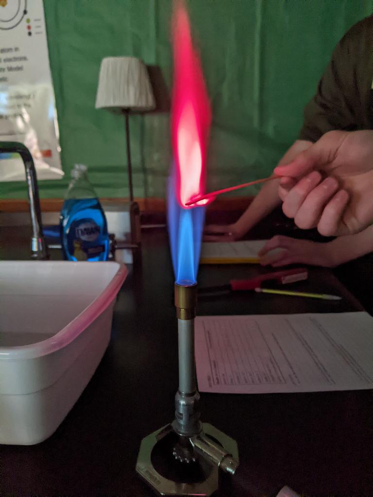 Tara Wodzicki tweet media