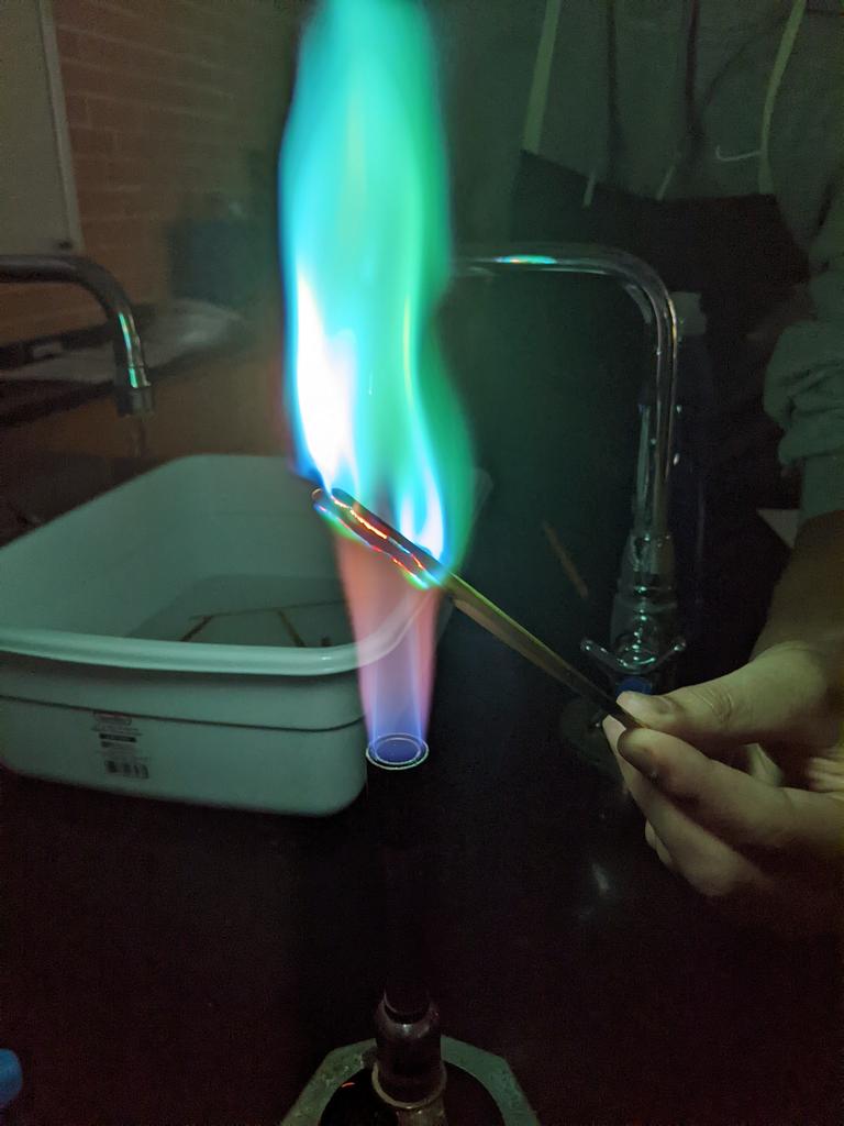 Tara Wodzicki tweet media