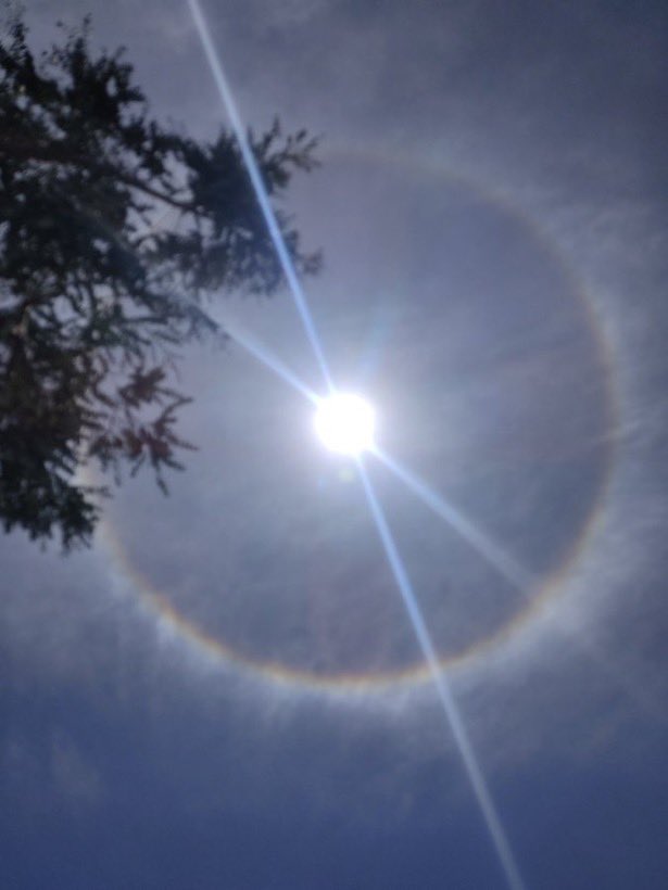 NATURALEZAV3's tweet image. Excelente viernes!