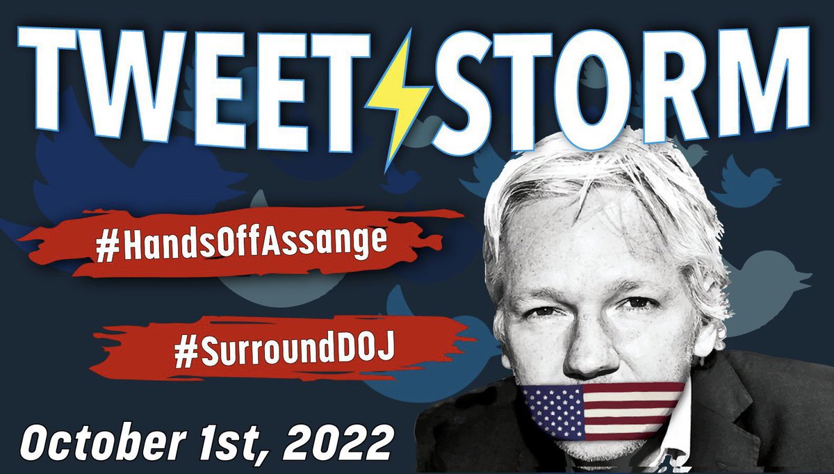 SarcasmStardust's tweet image. We are tweetstorming TOMORROW!!! Help us by sharing the graphics in this thread with the hashtags #HandsOffAssange and #SurroundDOJ