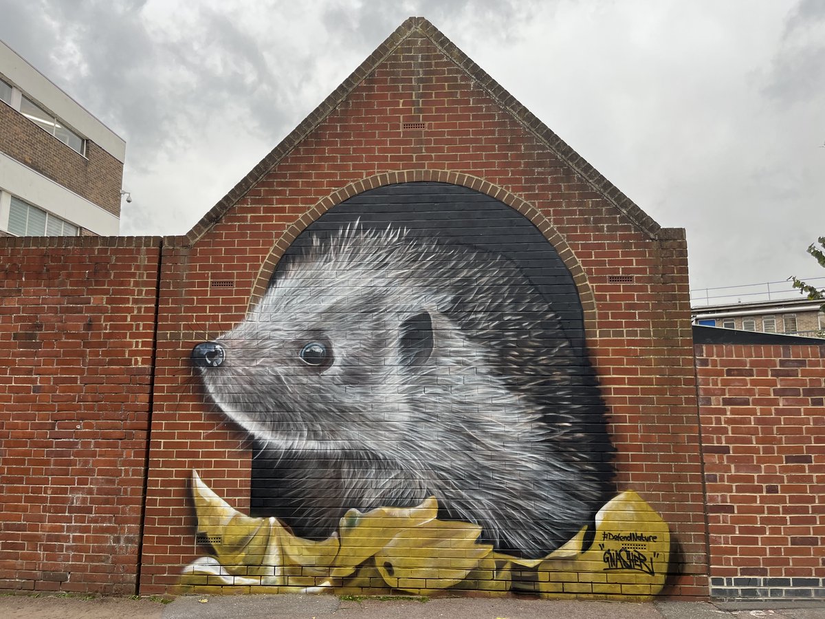 EssexWildlife's tweet photo. And... it's complete!🦔
#NatureNeighbour https://t.co/cBrTyhzLt1