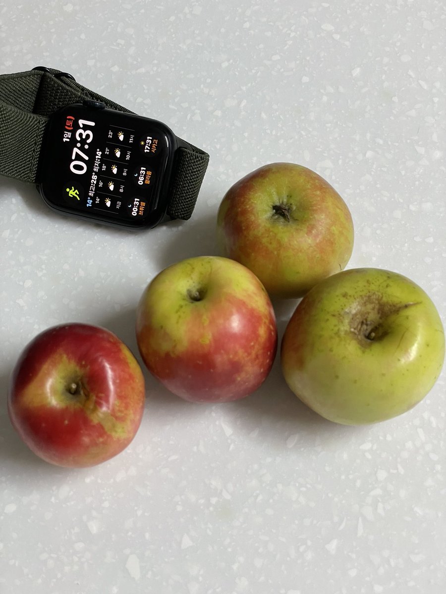 nacfhong's tweet photo. Petit pomme. Automne https://t.co/plRulaNFY9