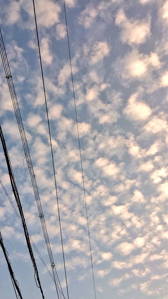 おはようございます☀️ こちらは今朝は雲もありますが、青空も見えてます☀️ 皆様、今月もどうぞよろしくお願いします。 良い１日をお過ごしくださいね✨