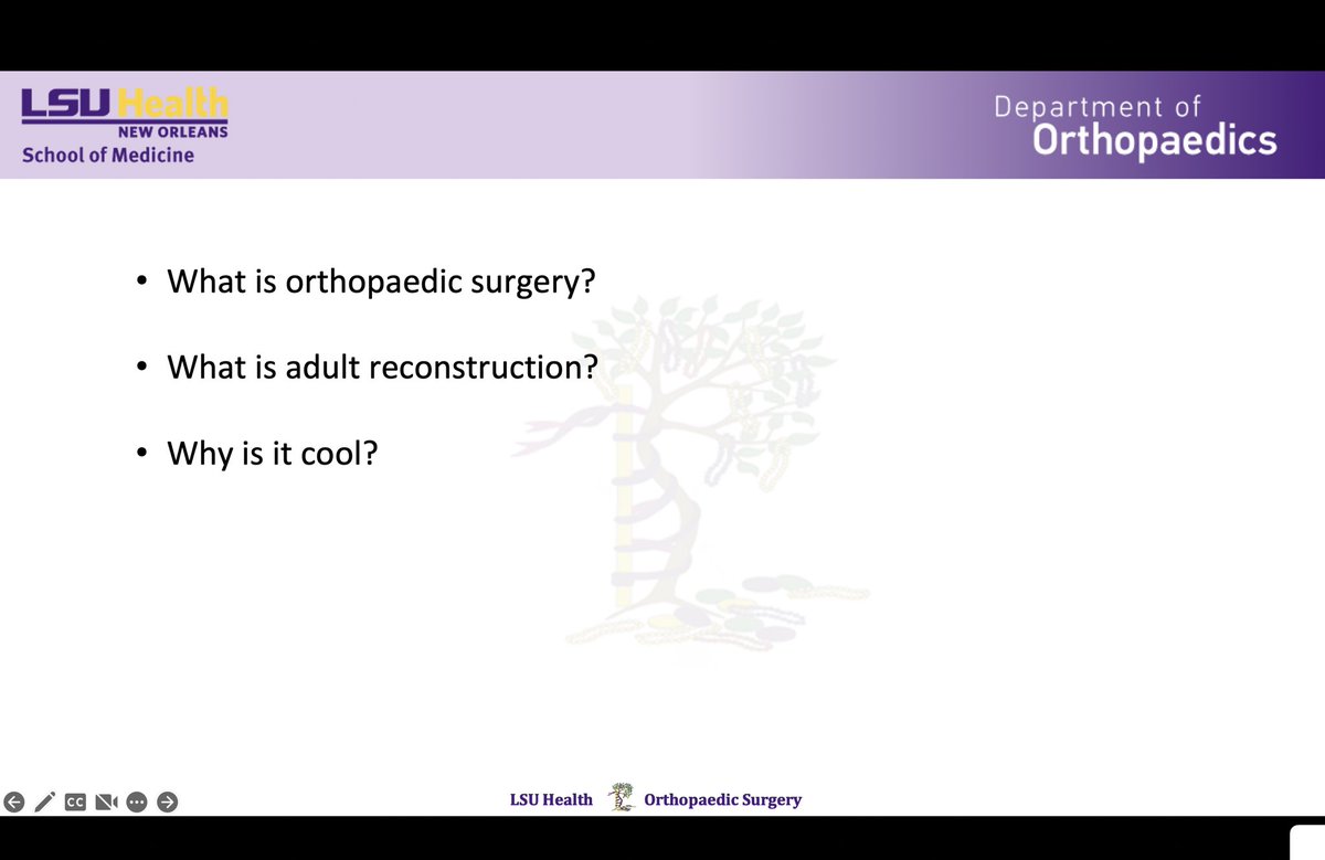 Anna Cohen-Rosenblum tweet media