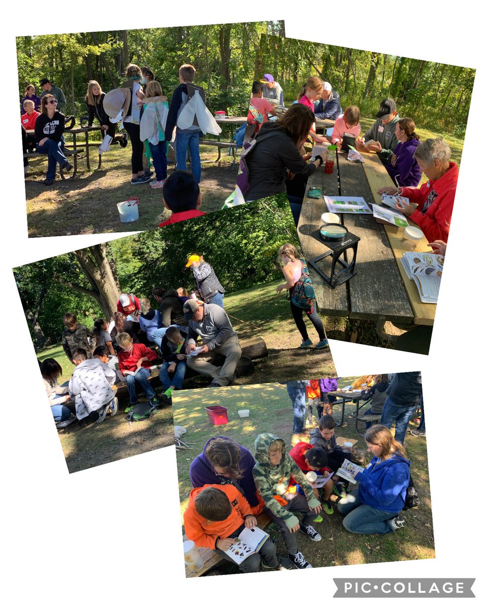 Myers Multiage (@myersmultiage) on Twitter photo We had a great time learning about, finding, and studying insects with Ms. Jess this morning! Thanks <a href="/StoryCoCons/">StoryCoConservation</a>! #NevadaCubPride We had a great time learning about, finding, and studying insects with Ms. Jess this morning! Thanks <a href="/StoryCoCons/">StoryCoConservation</a>! #NevadaCubPride