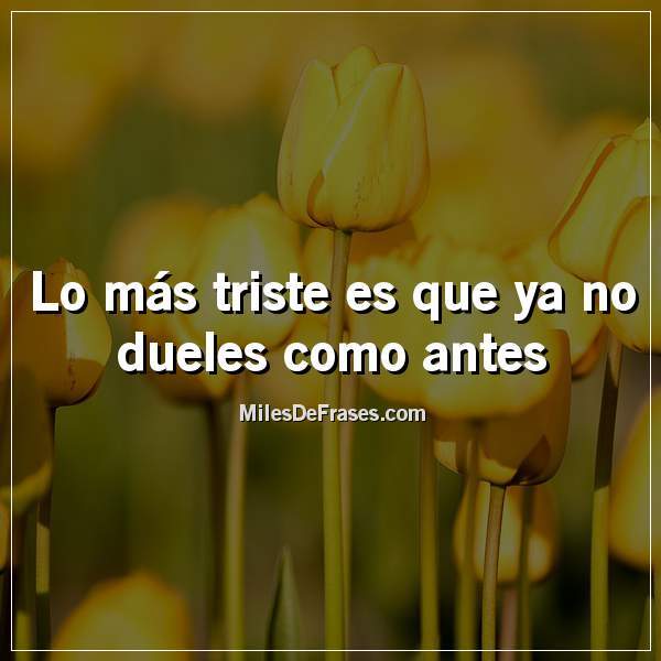 Frases_En_Foto's tweet photo. Lo más triste es que ya no dueles como antes #frases #citas https://t.co/JtrJPLTtQC