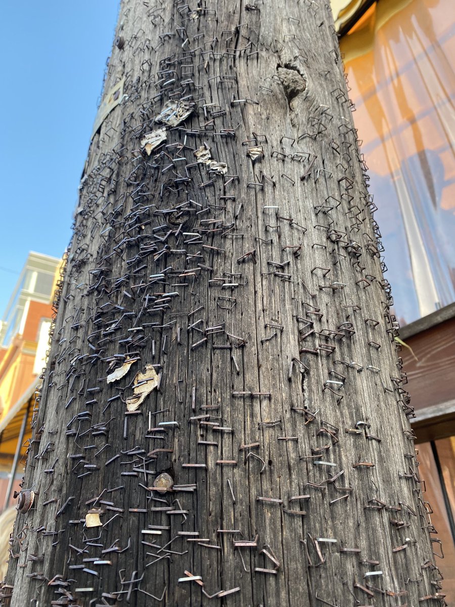 Images de campagne… après une longue analyse, j’estime que ce « poteau de téléphone » a vécu de multiples affichages électoraux… et a subi plusieurs publicités de chats perdus #qc2022