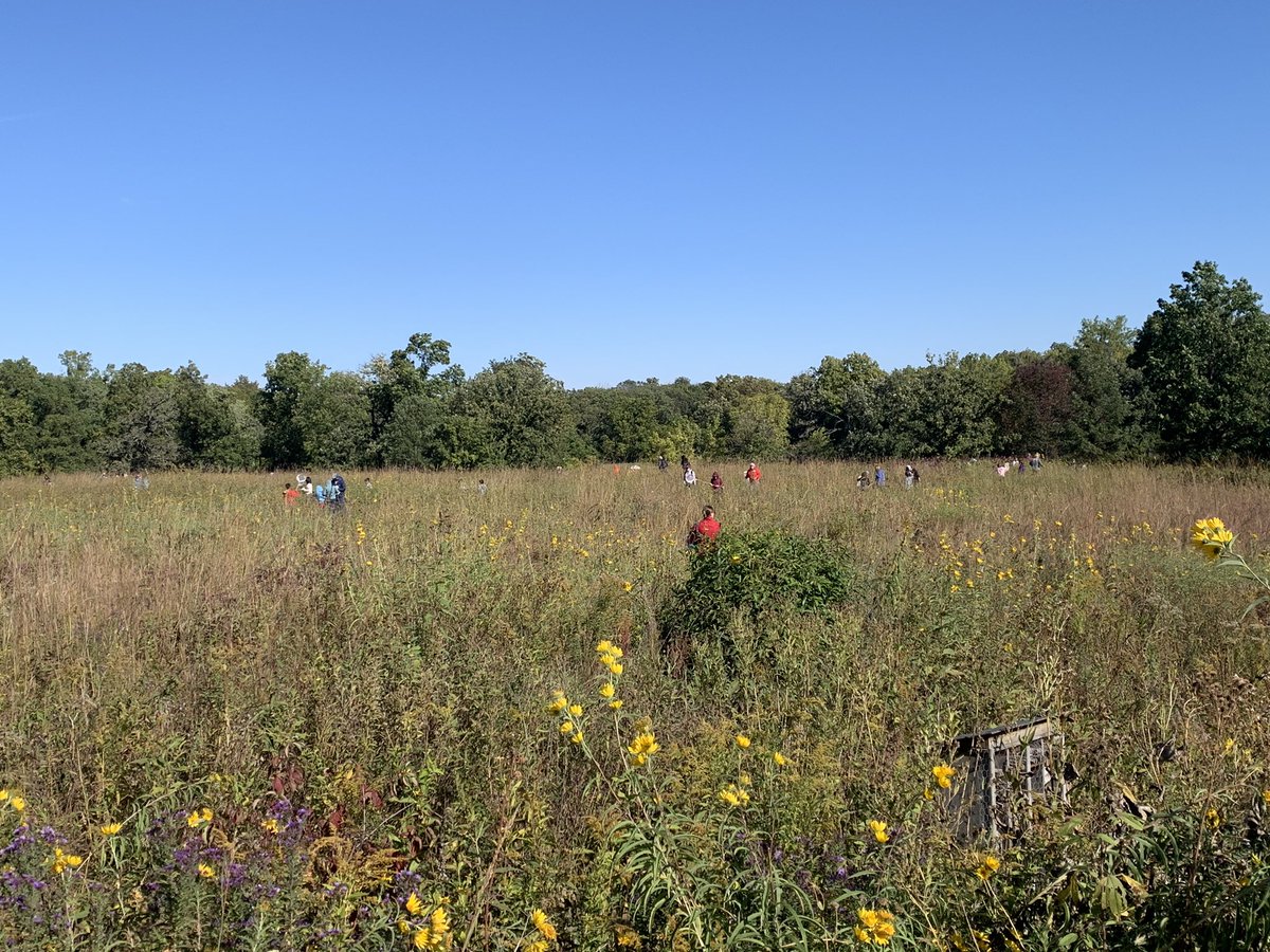 Myers Multiage (@myersmultiage) on Twitter photo Ms. Jess with <a href="/StoryCoCons/">StoryCoConservation</a> had the kids try to hide in the prairie like insects would. Then she was the bird and tried to spot them. Last she had the grown-ups go be the insects and then let the kids be the birds and come find us! #NevadaCubPride Ms. Jess with <a href="/StoryCoCons/">StoryCoConservation</a> had the kids try to hide in the prairie like insects would. Then she was the bird and tried to spot them. Last she had the grown-ups go be the insects and then let the kids be the birds and come find us! #NevadaCubPride