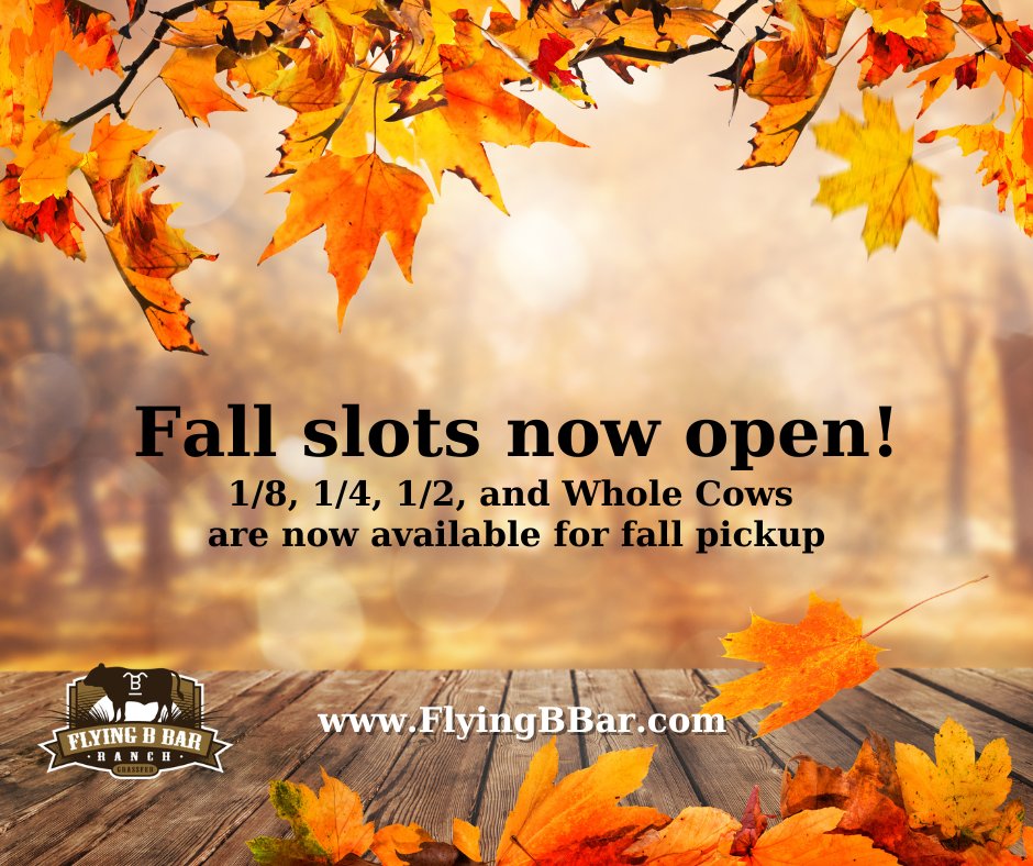 Flying B Bar Ranch (@flyingbbar) on Twitter photo Ready to fill your freezer for colder weather? 
Our Fall slots for 1/8, 1/4, 1/2, and Whole Cows are now open! Don't miss out, place a deposit today! 
#grassfed #fall
conta.cc/3fzMpjy
conta.cc/3M0ceoT Ready to fill your freezer for colder weather? 
Our Fall slots for 1/8, 1/4, 1/2, and Whole Cows are now open! Don't miss out, place a deposit today! 
#grassfed #fall
conta.cc/3fzMpjy
conta.cc/3M0ceoT