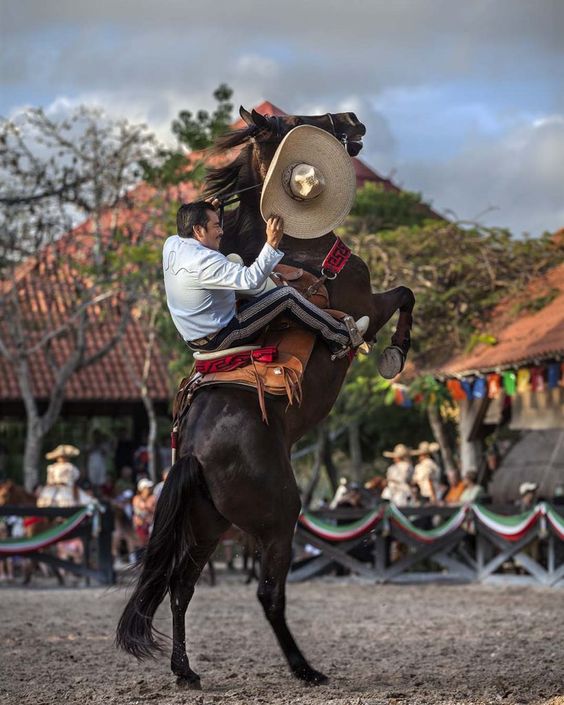 GanaderiayAgro's tweet photo. Charrería, Patrimonio cultural inmaterial de la humanidad…y orgullo de México.
#vistedetradiciones #charreriamexicana #charro #charreria #escaramuza #mexicotradicional #tradicionesmexicanas #deportemexicano https://t.co/iooOmfgdFB
