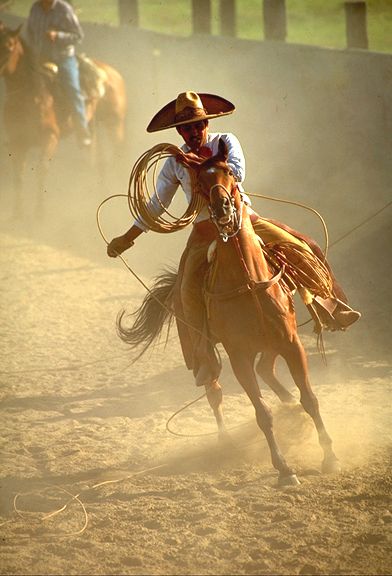 GanaderiayAgro's tweet photo. Charrería, Patrimonio cultural inmaterial de la humanidad…y orgullo de México.
#vistedetradiciones #charreriamexicana #charro #charreria #escaramuza #mexicotradicional #tradicionesmexicanas #deportemexicano https://t.co/iooOmfgdFB