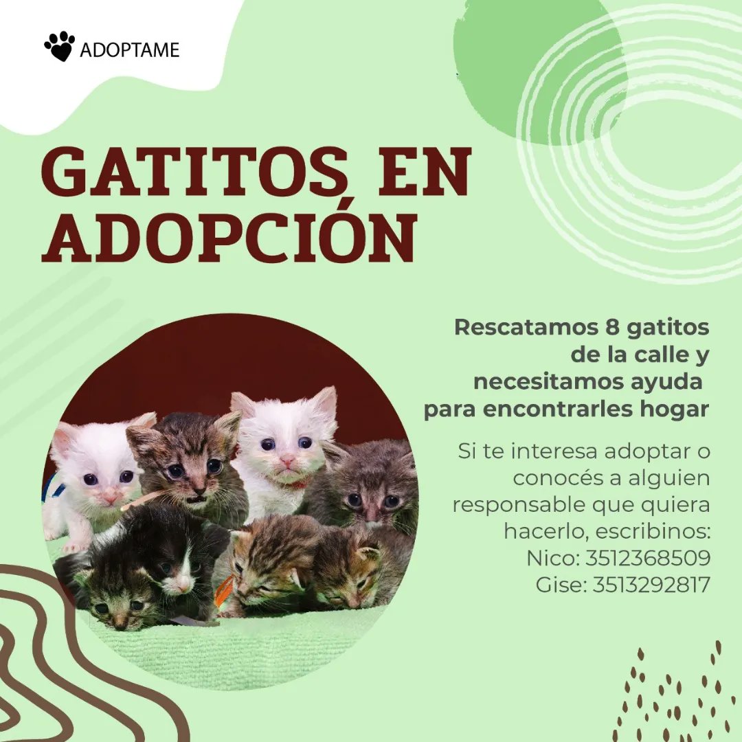 NicoAMolina's tweet photo. ¿Me ayudás retuiteando? https://t.co/gikEHy5QI5