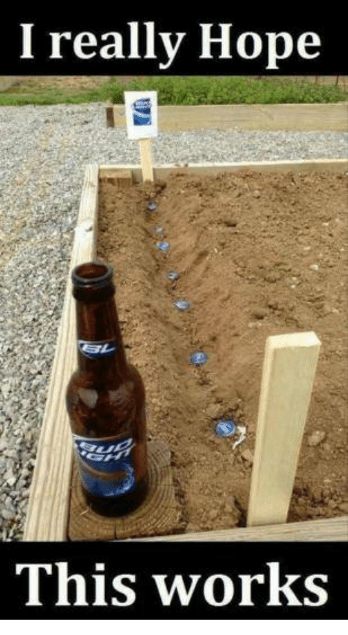 Are you sick of trying to grow your own beer? Come out to Brews for Rescues (on October 7th) and try some delicious beers at the Golden Mill. There will be a raffle, great company, and the event supports Alpine Rescue so we can support others.