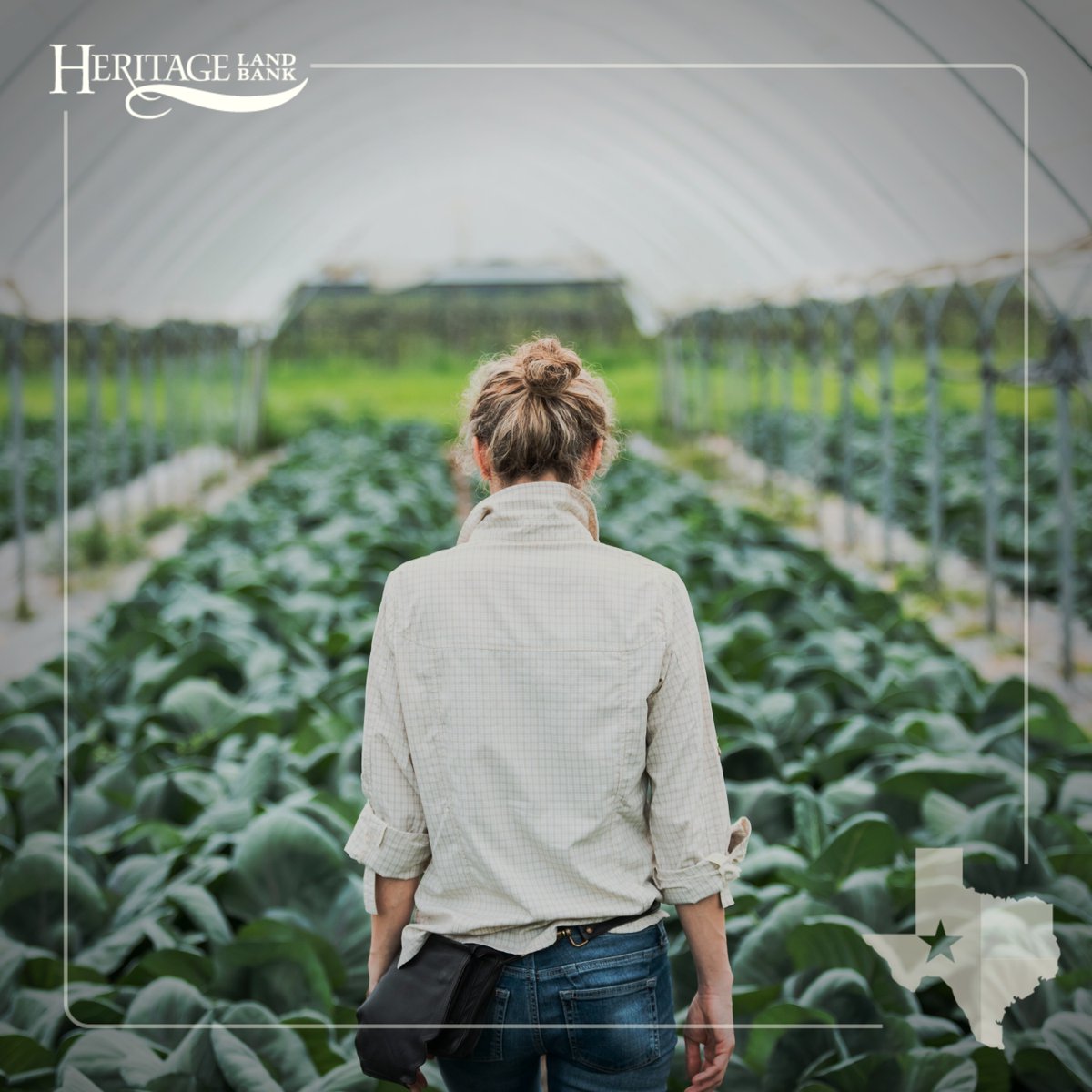 #DYK green industry “crops” are among the top five commodities grown in 27 U.S. states, including Texas? We tailor our loan programs to fit your nursery operation’s specific needs. Then, we let Mother Nature take care of the rest! 🌱 🌳 🌎