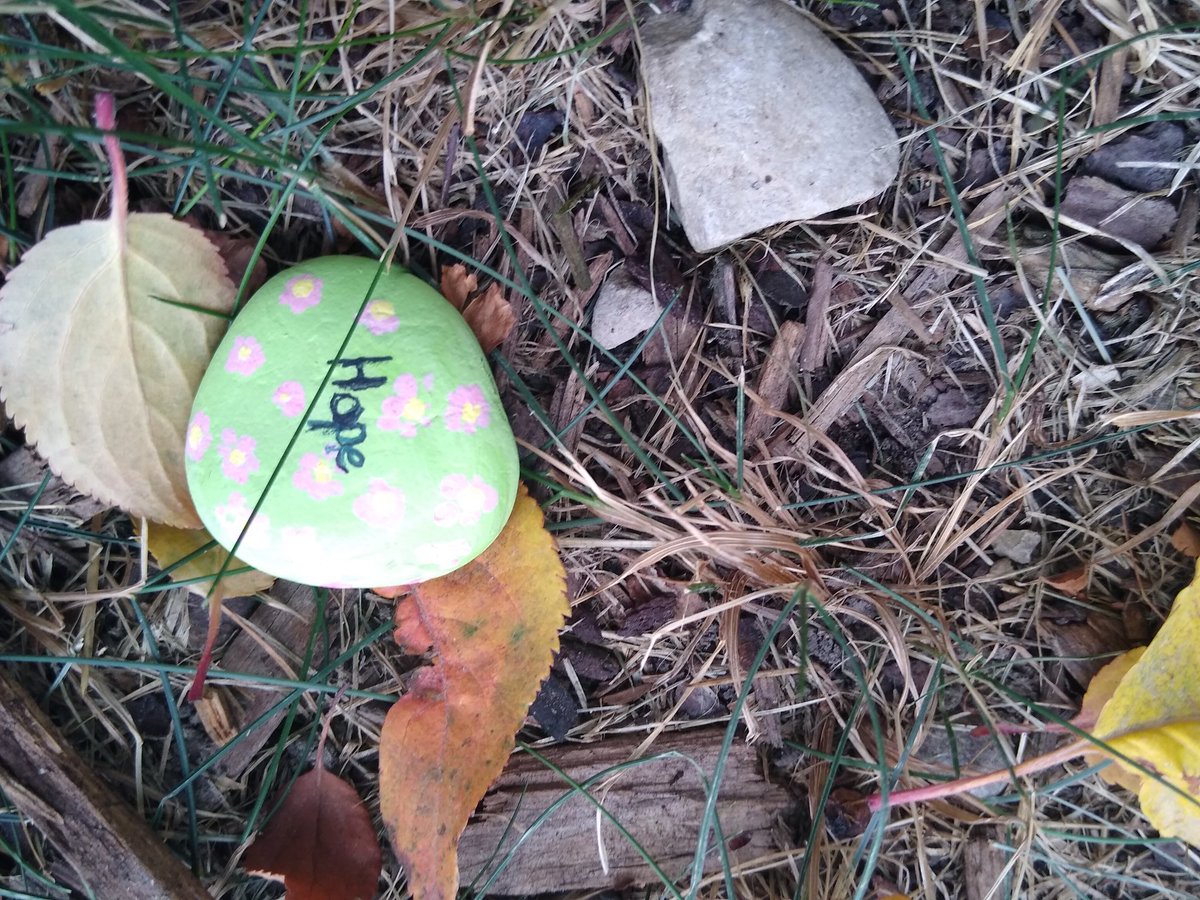 NoordeenEd's tweet photo. Students then released these rocks back into their communities today. May they serve as conversation starters with parents and community members around #TruthAndReconciliation in Canada. #NationalDayForTruthAndReconciliation @prairieskycbe https://t.co/NK0hdjPpTF