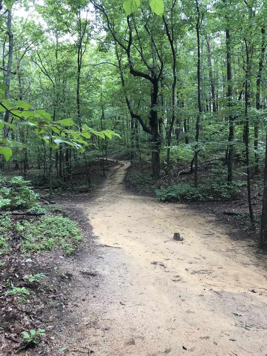 damongran's tweet photo. Topped 100 miles each month for a 3rd quarter run/walk total of 306.58 miles. 104.58, July; 100.71, August; 101.29, September. Through 3Q22, 749.07 miles. Bring on the outdoors! #workout #menshealth #BigCreekGreenway #NorthGeorgia #NoExcuses #NeverGiveUp https://t.co/n95GZhDTiR