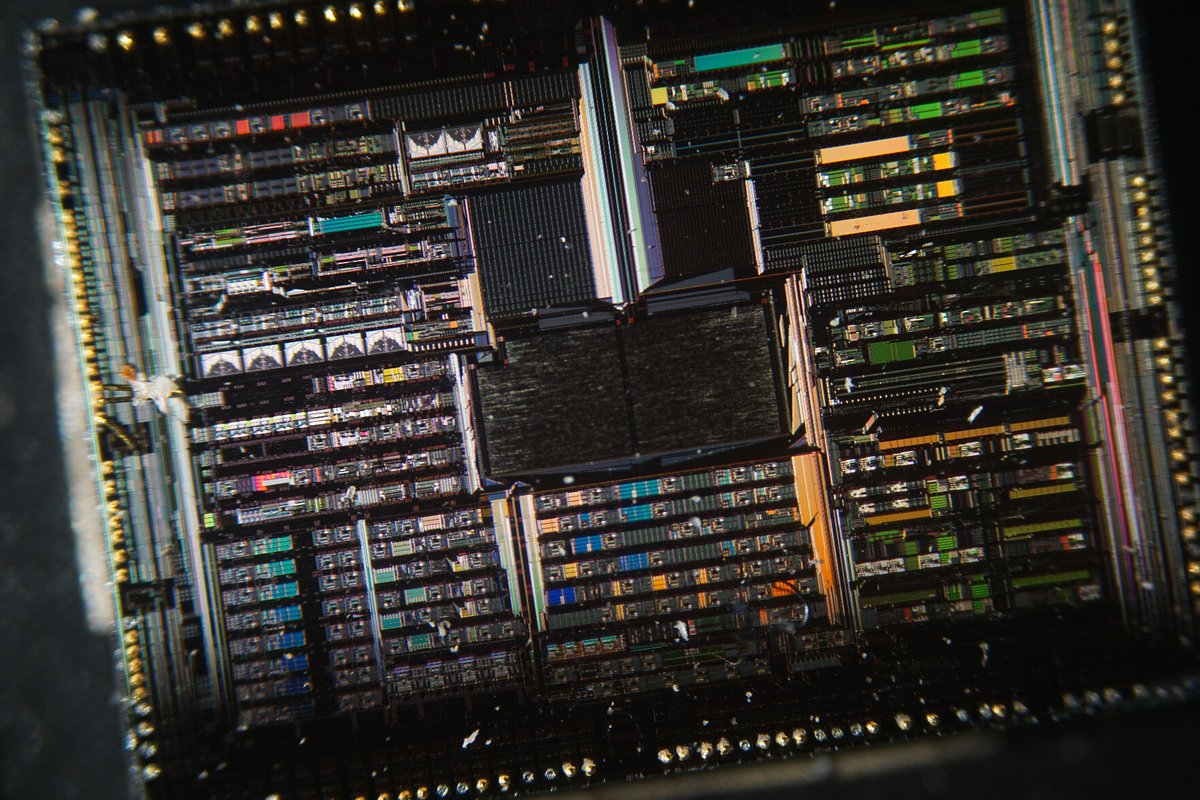 Mikroskopbilder mit 🐘loeb@chaos.social