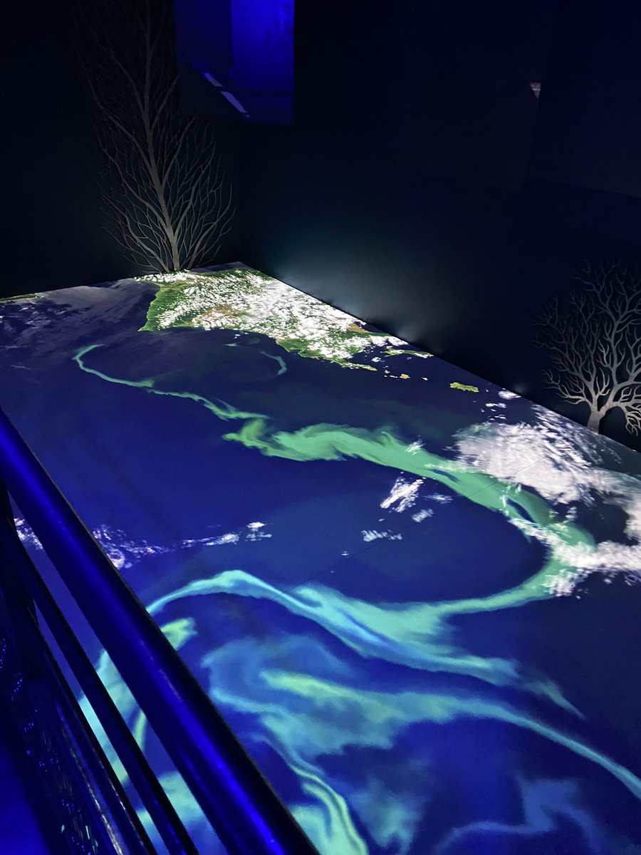 FraisseMarjorie's tweet photo. Visite de l’exposition interactive « Climat et Océan » au musée de la mer de #larochelle #Museemaritime séminaire bilan @IHEST promo #MichelSerres #transitions #territoire #maritime #traitdecote @UnivLaRochelle #Recherche @CNRS #sciencesociete #pedagogie https://t.co/j6DlL7G9vq