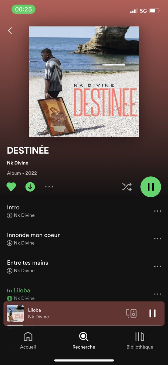 ActuNK_'s tweet photo. 💣💣 HERE WEEEEE GOO 💣💣

DESTINÉE maintenant disponible sur toutes les plateformes! 

ON FAIT PT PARTOUT 🔥😭 https://t.co/osNQTyNSm3